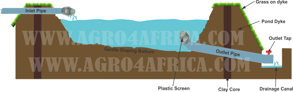 Cross Section of an Earthen Fish Pond