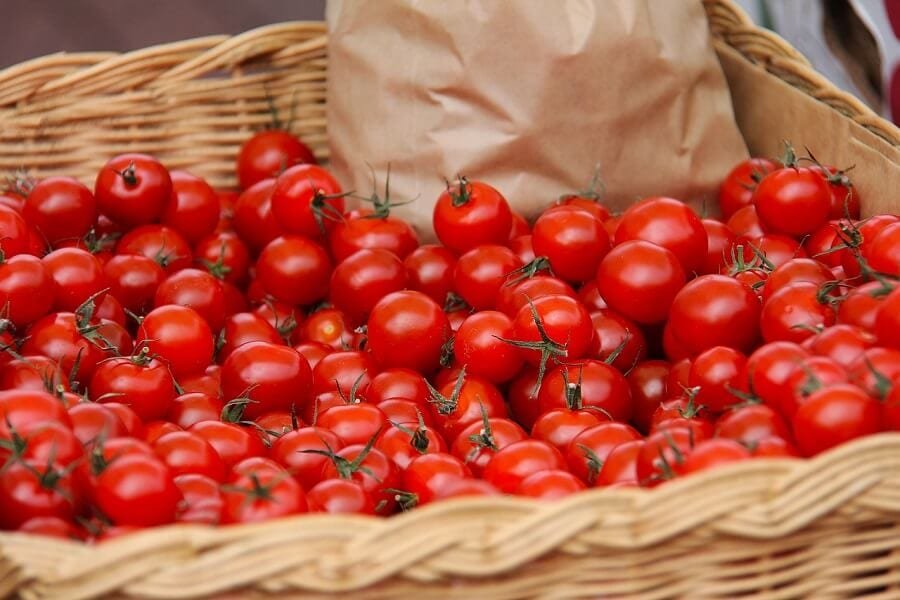 Picture of Fresh tomatoes in a basket: Reasons many agribusinesses fail